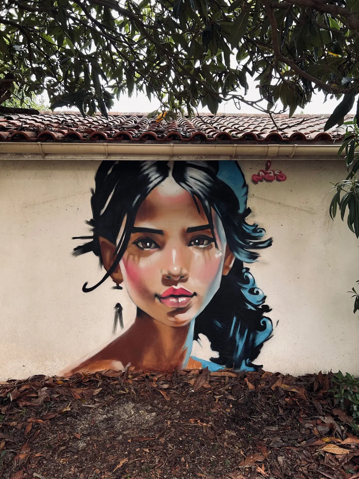 Portrait mural figuratif réalisé par MAS GRAFFITI