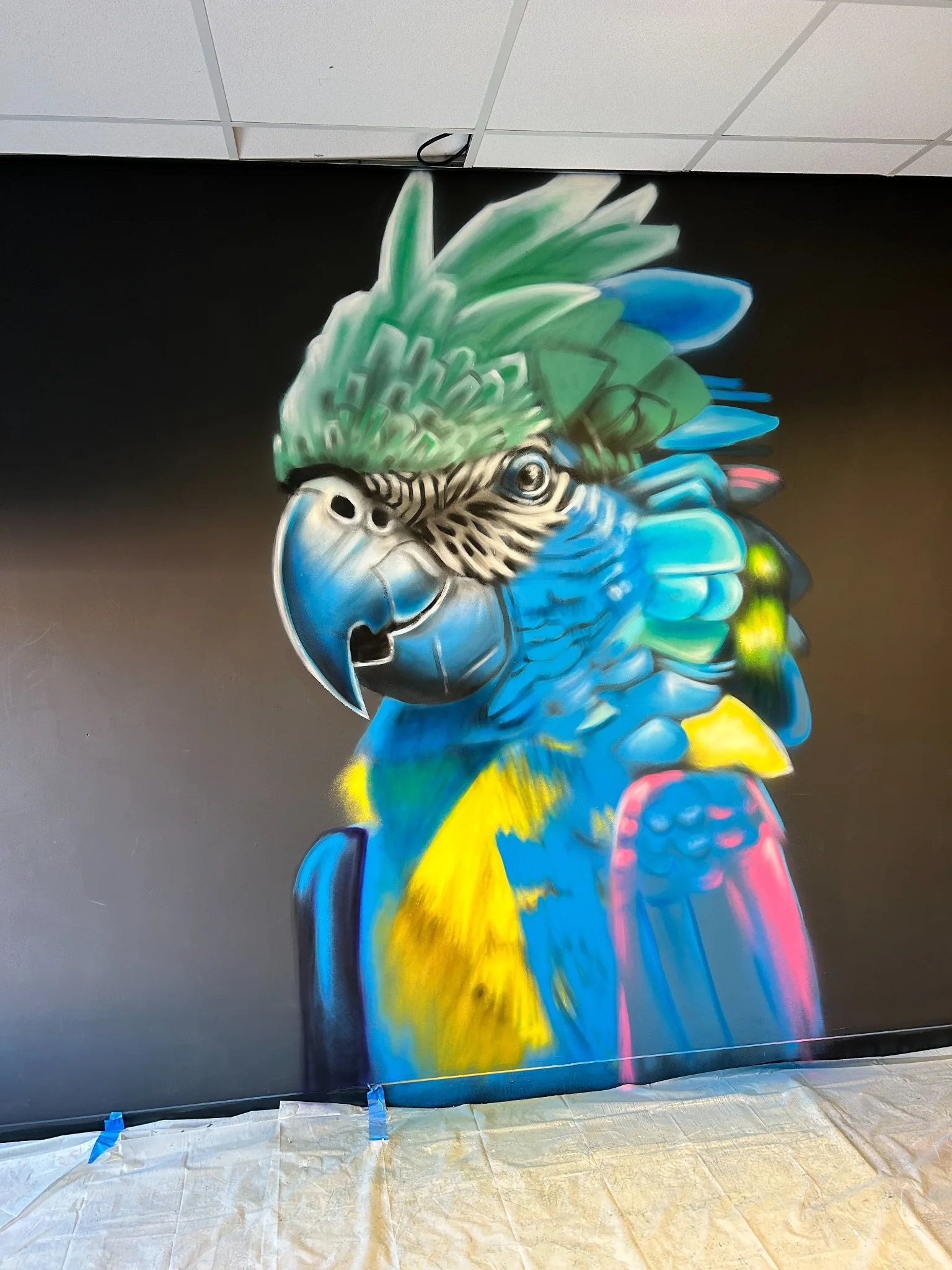 Décoration murale du bar Quintesens à Bordeaux : un perroquet aux couleurs vives peint par Más