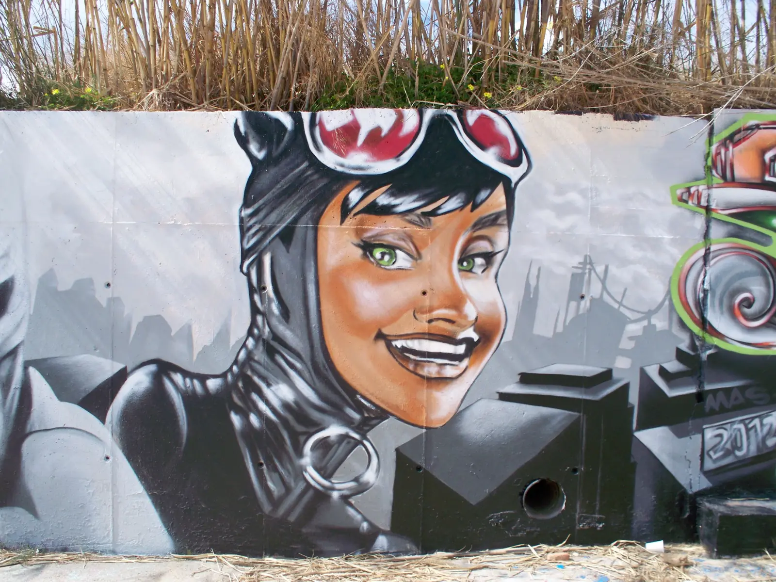 Barcelone 2012, fresque murale de MAS GRAFFITI — Espagne
