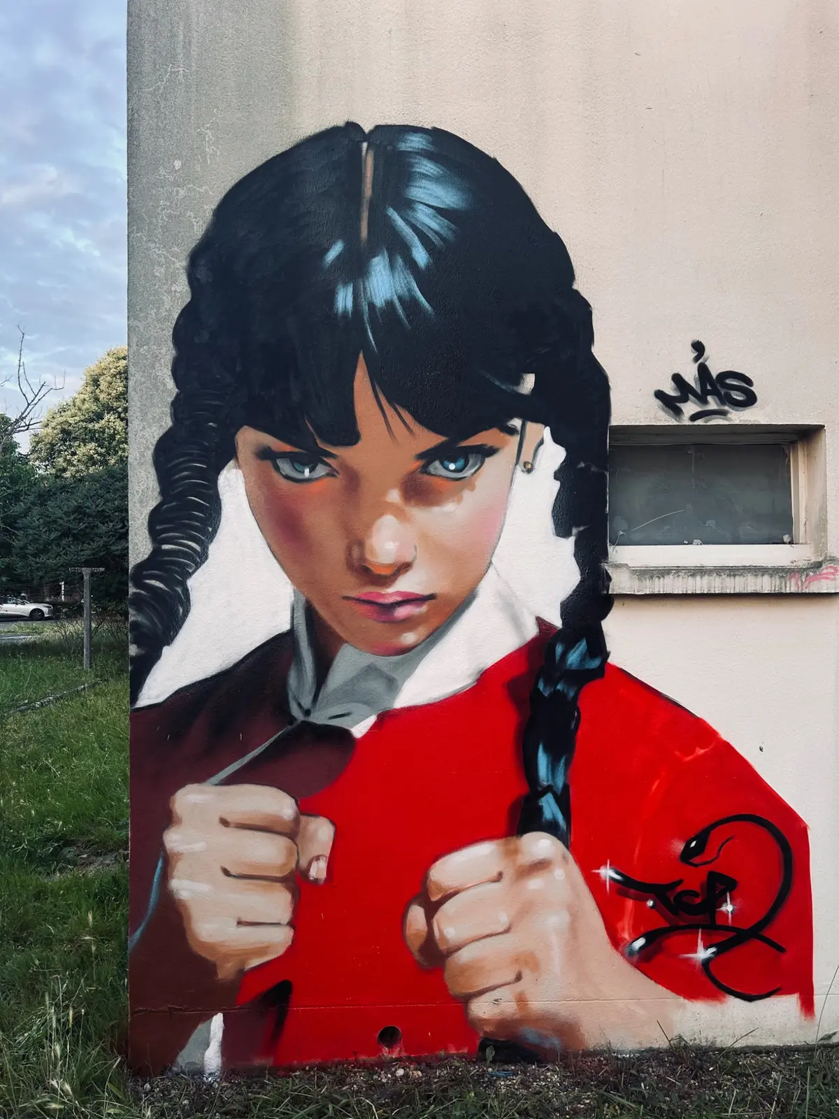 Imbattable, fresque murale de MAS GRAFFITI — Gironde · Décoration privée