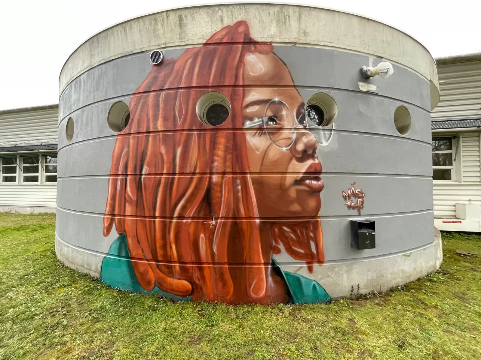 ITS Pierre-Bourdieu, fresque murale de MAS GRAFFITI — Pau