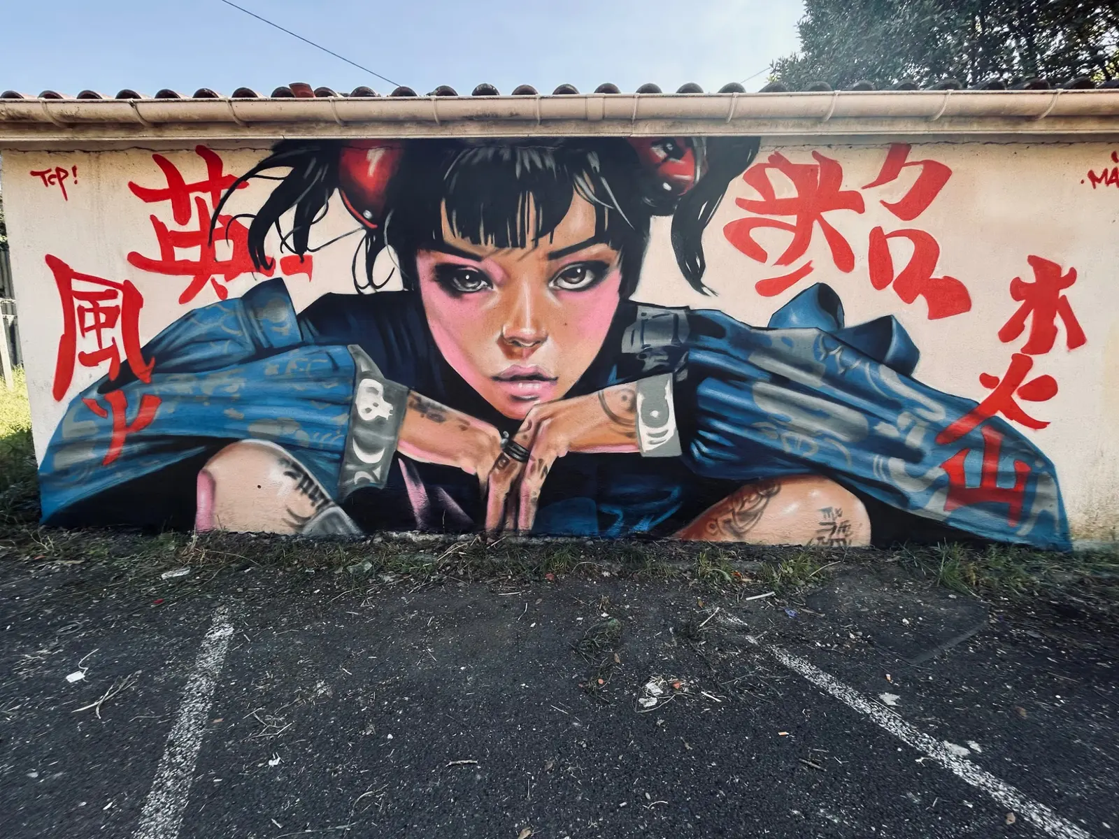 Japan, fresque murale de MAS GRAFFITI — Cenon · Gironde