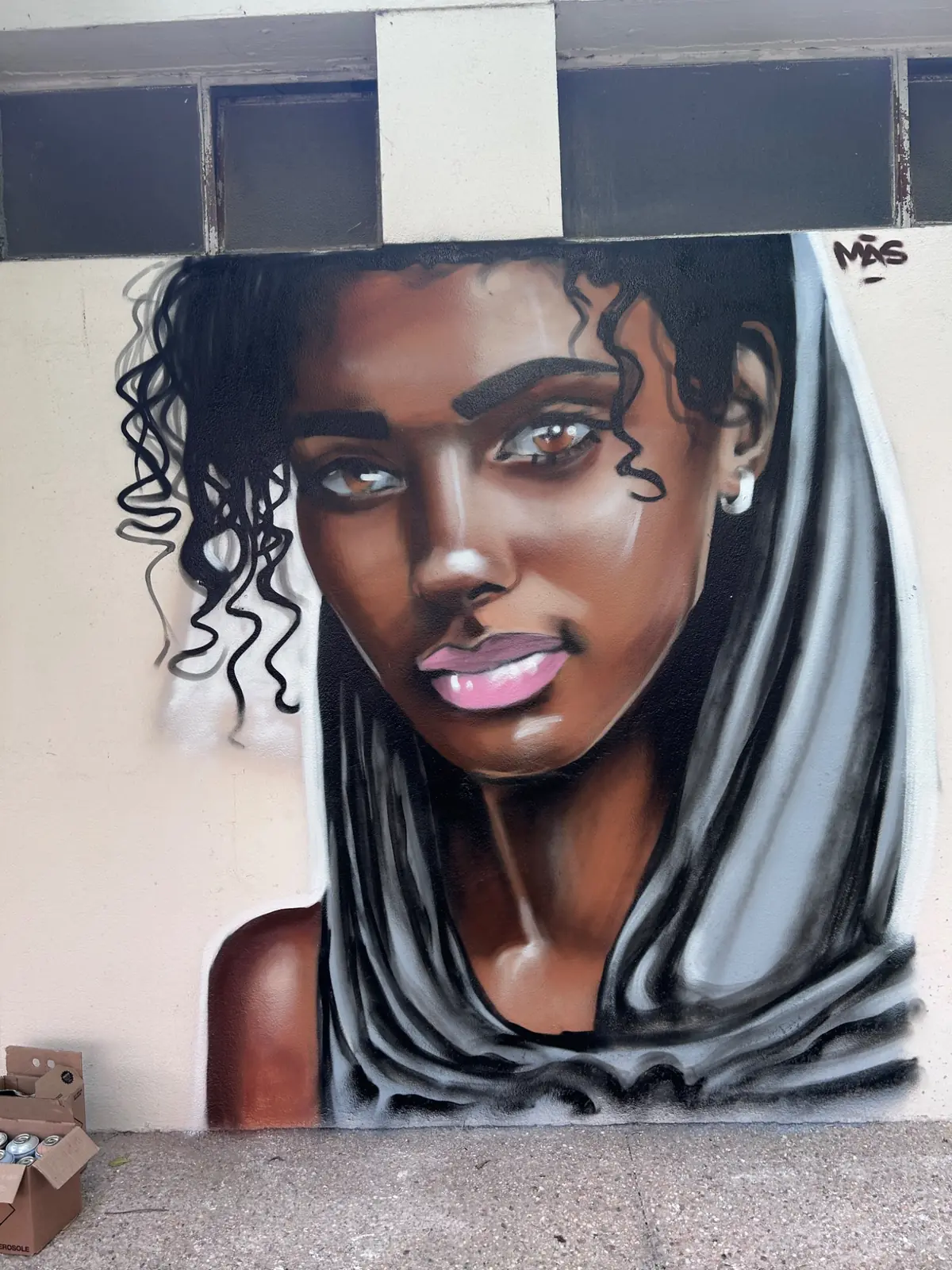 Lycée François-Mauriac, fresque murale de MAS GRAFFITI — Bordeaux
