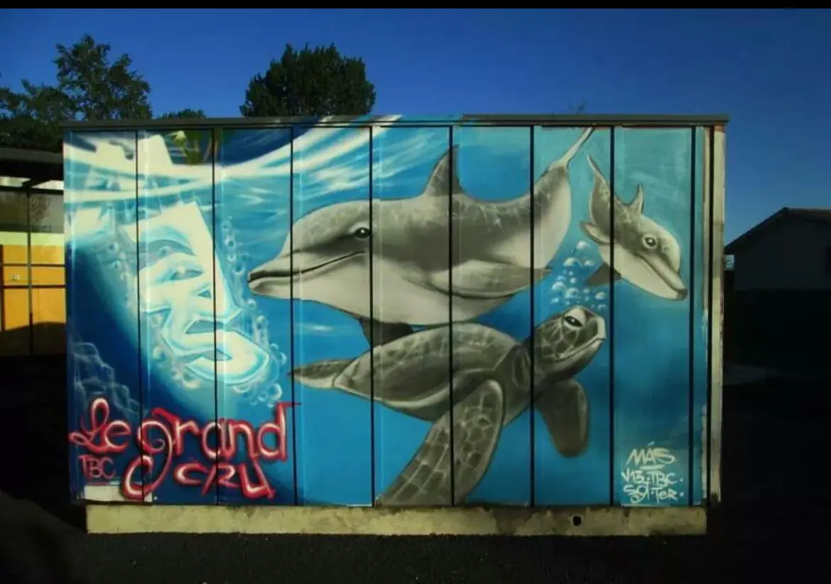 Le grand bleu, fresque murale de MAS GRAFFITI — Maison d’accueil spécialisée