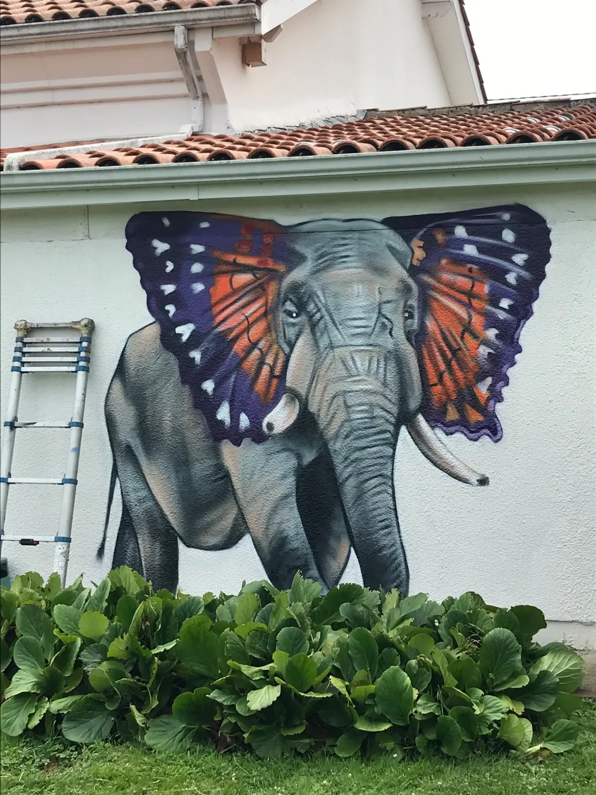 Éléphant papillon, fresque murale de MAS GRAFFITI — Ville de Cenon